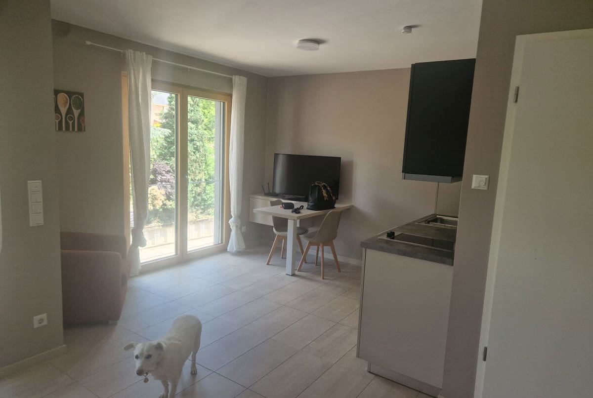 One bedroom apartment in city Luxembourg