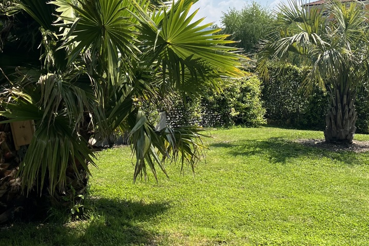 Spacious modern apartment  (3 years old) - 2