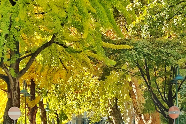 Spacious modern apartment  (3 years old) - 16