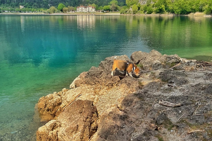 Spacious modern apartment  (3 years old) - 19