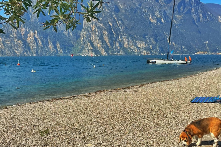 Spacious modern apartment  (3 years old) - 20