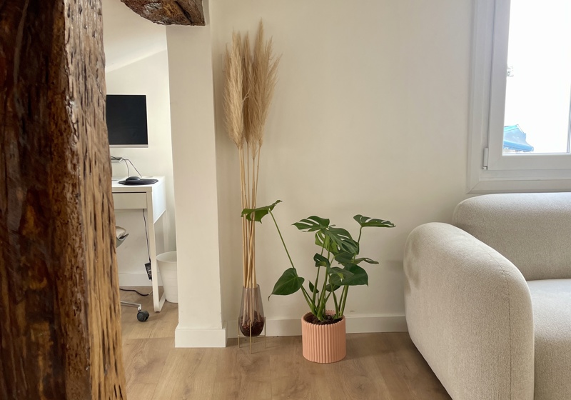 home swap in Bilbao, Spain