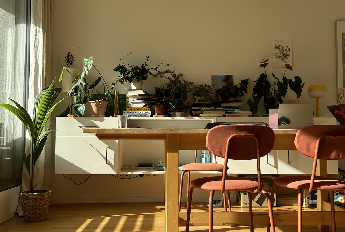 Cozy central flat with a huge terrace