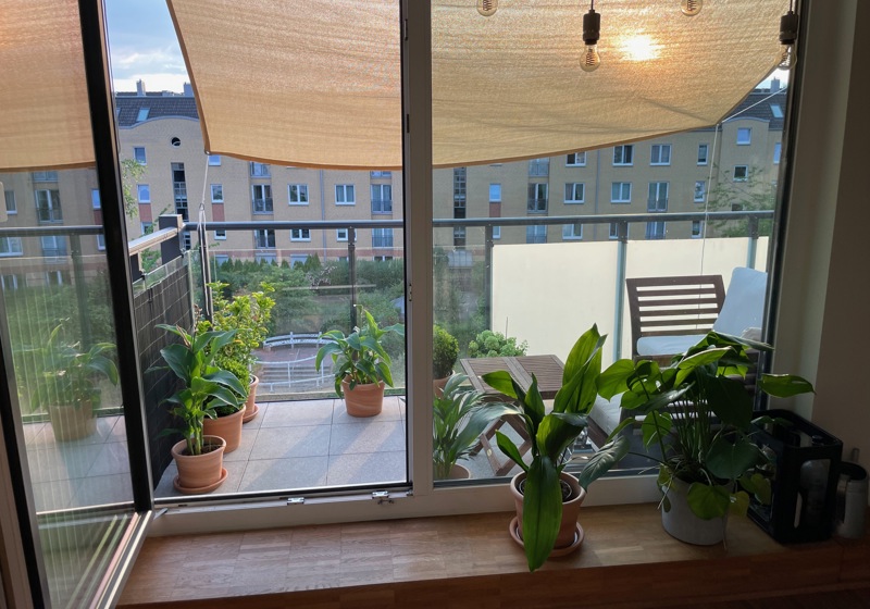 home swap in Hamburg, Germany