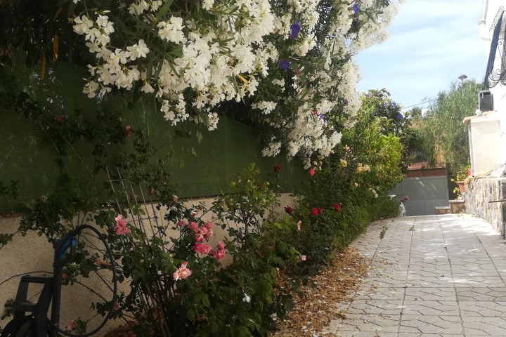 The house in calm area in a small village. - 2