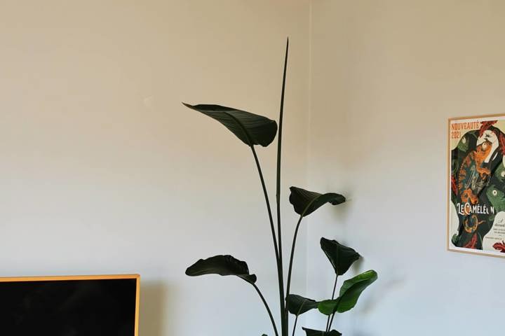 Bright dual-aspect flat in Nantes w/ 2 balconies - 22