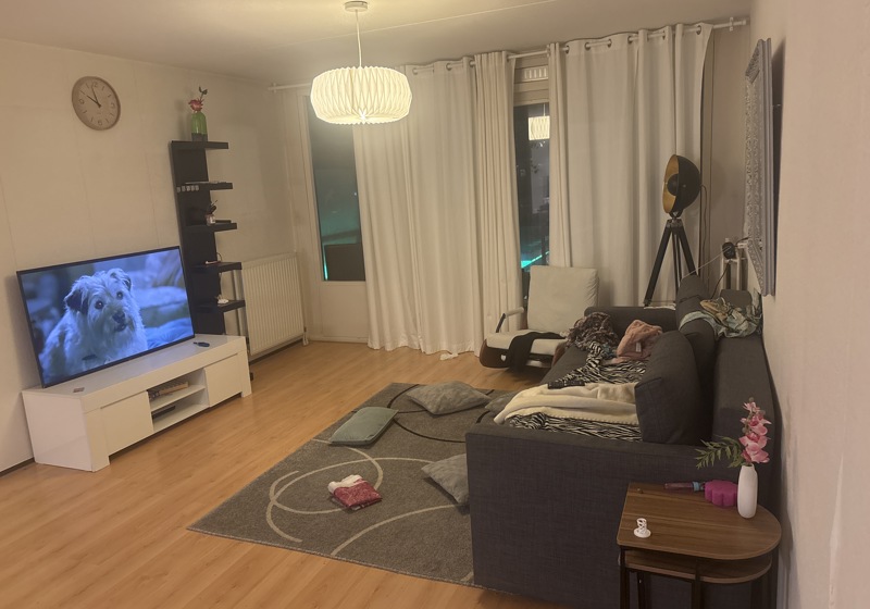 home swap in Rotterdam, The Netherlands