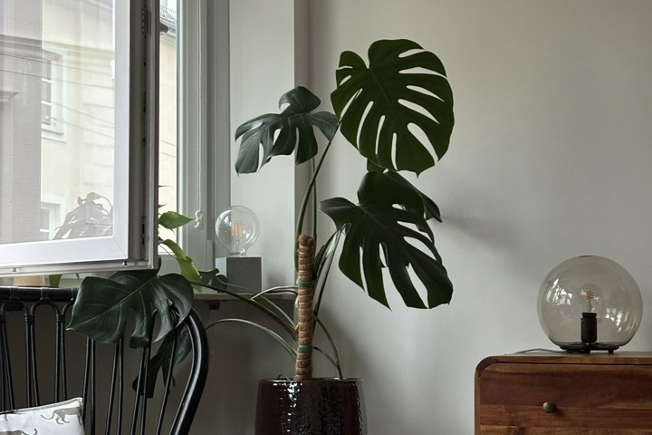 Central Citry Apartment - 5