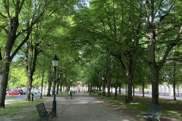 Elegant home in the heart of Malmö - 6