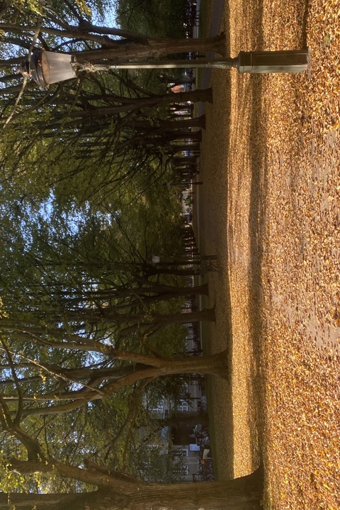 Elegant home in the heart of Malmö - 8