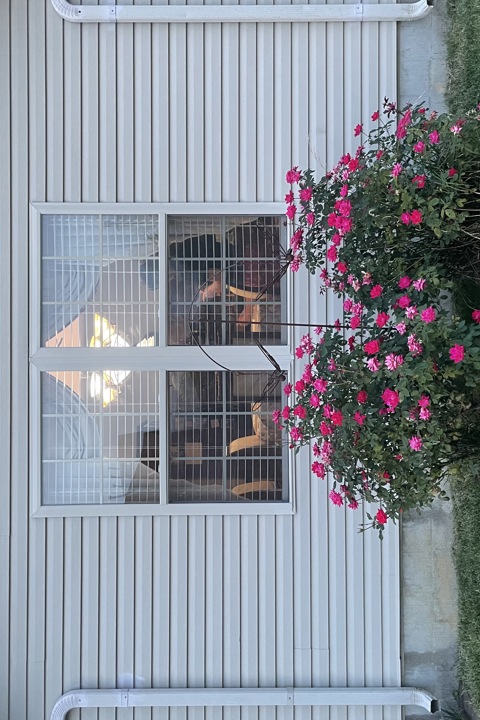 Impeccable home near thoroughbred horse farms - 6