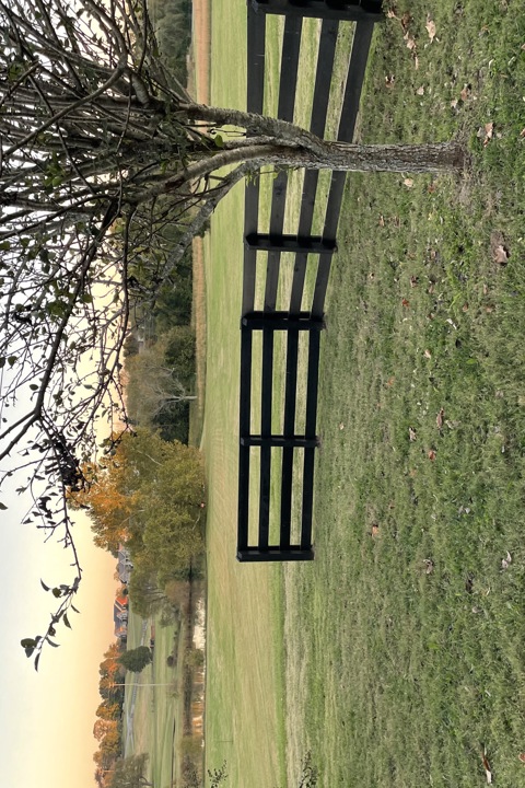 Impeccable home near thoroughbred horse farms - 31