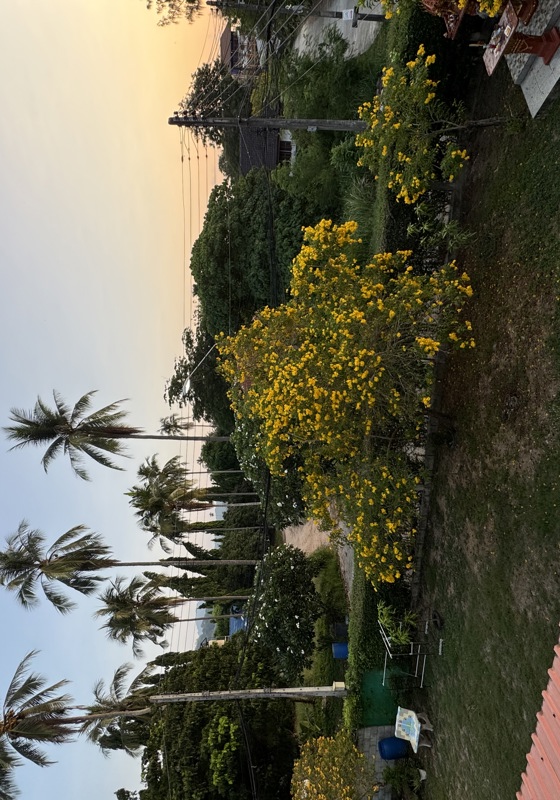 home swap in Phuket, Thailand