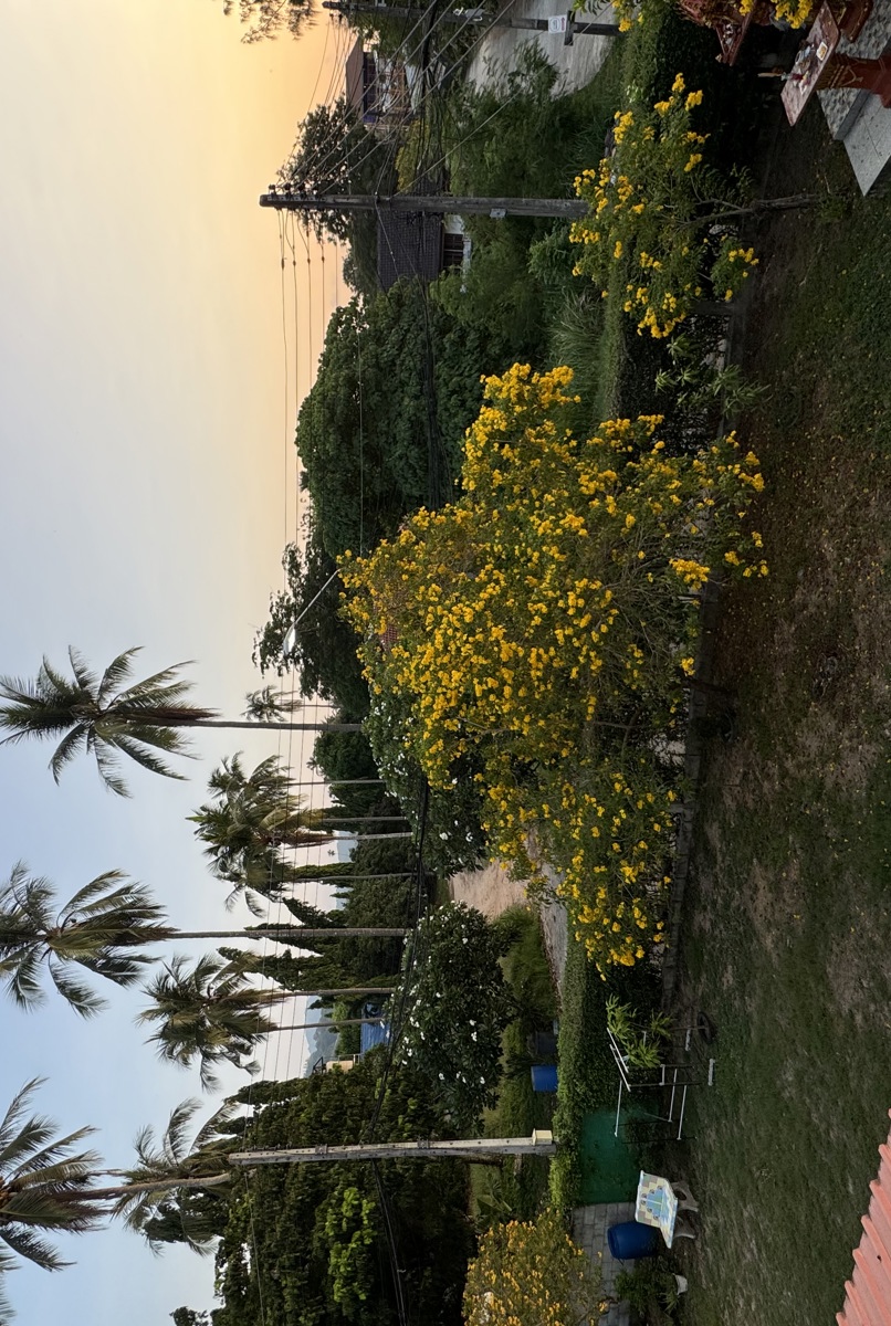Cozy Studio with balcony and garden view