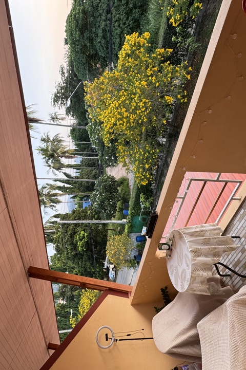 Cozy Studio with balcony and garden view - 1