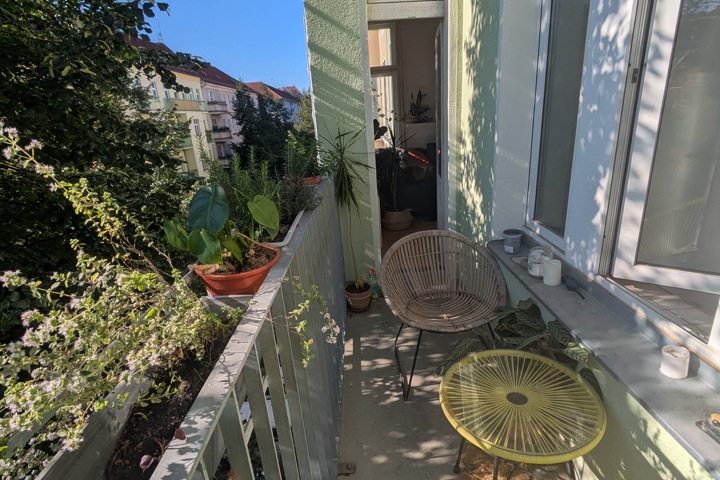 Charming bright flat with balcony and plants - 1