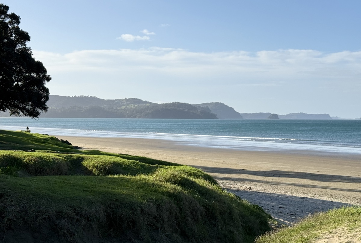 Sun, Surf, and Serenity