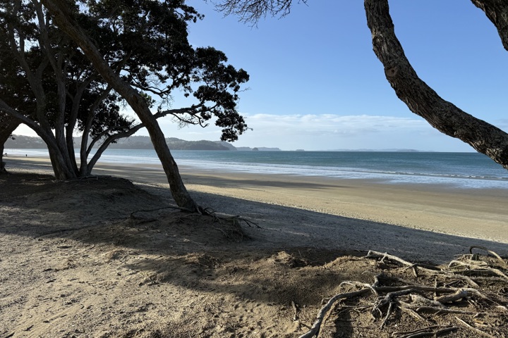 Sun, Surf, and Serenity - 3