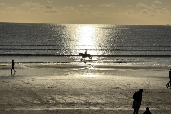 Sun, Surf, and Serenity - 12