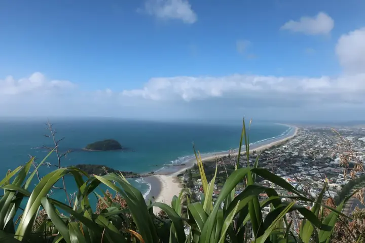 Sun, Surf, and Serenity - 18