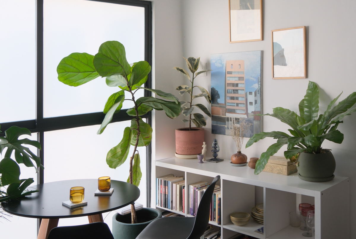 Small apartment in an walkable neighborhood