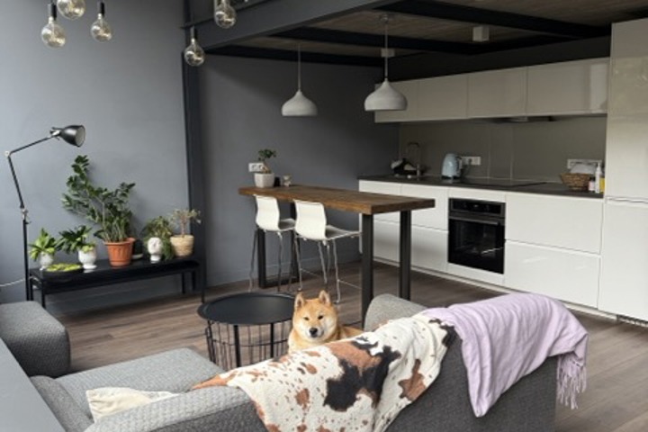 Stylish Loft Apartment in Antakalnis, Vilnius - 1