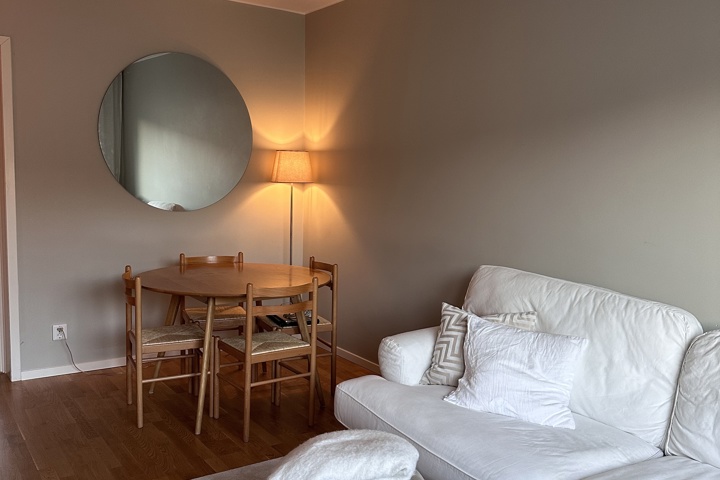 Bright apartment in Stockholm - 1