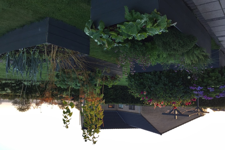 All you need in Denmark - 6