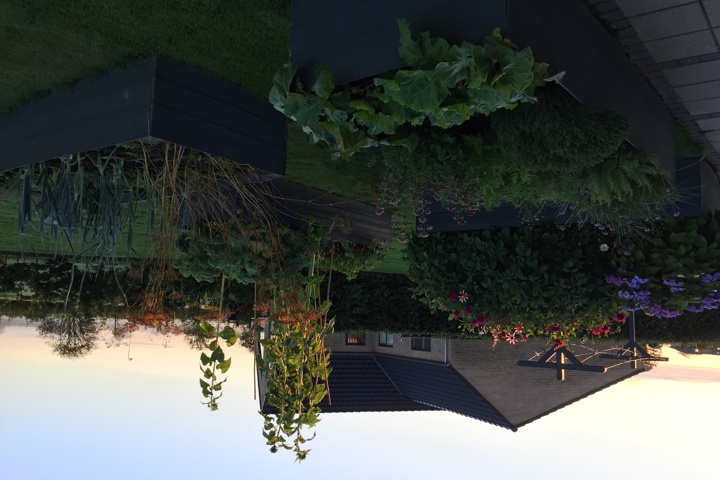 All you need in Denmark - 9