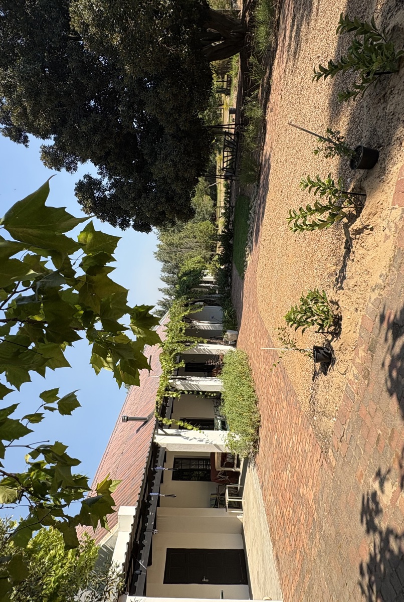 Small cottage on a farm in the Cape Winelands