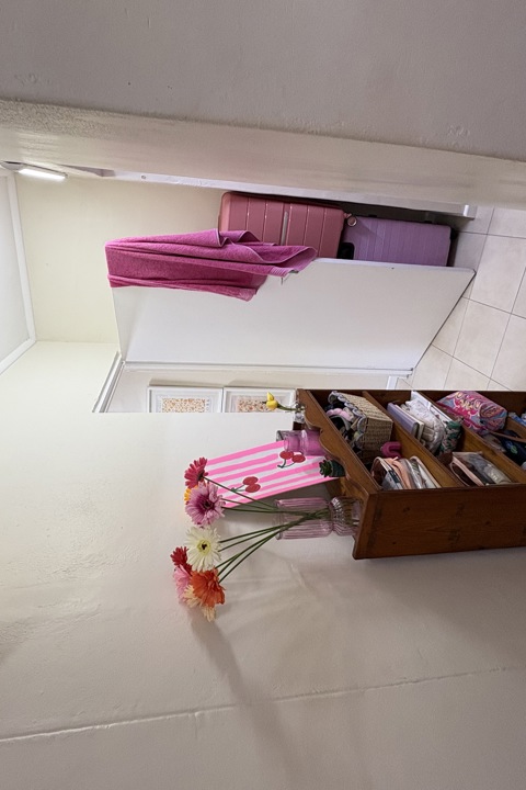 Small cottage on a farm in the Cape Winelands - 6