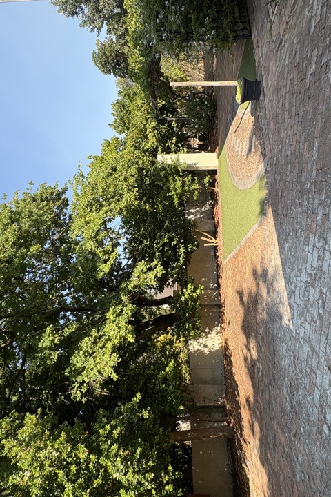 Small cottage on a farm in the Cape Winelands - 9