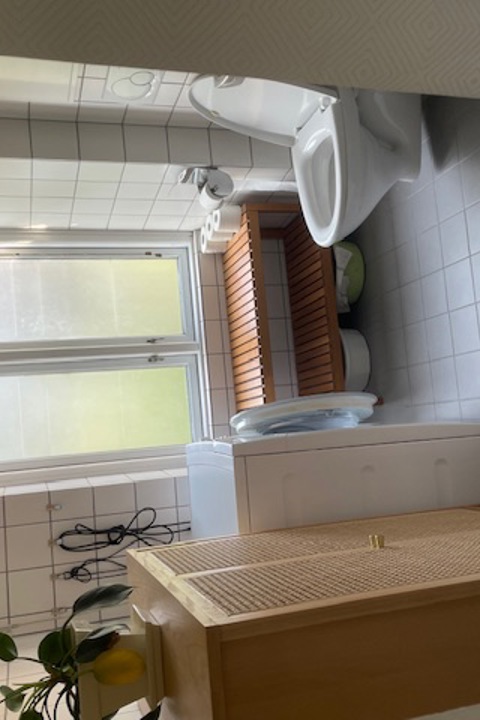 Wonderful Frederiksberg - 2