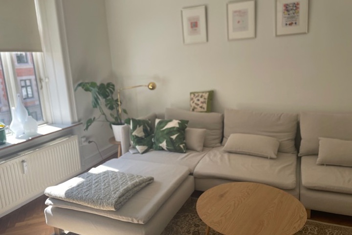 Wonderful Frederiksberg - 6