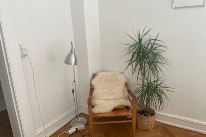 Wonderful Frederiksberg - 7