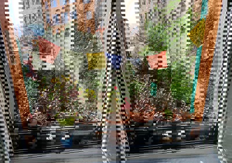 home swap in Genoa, Italy