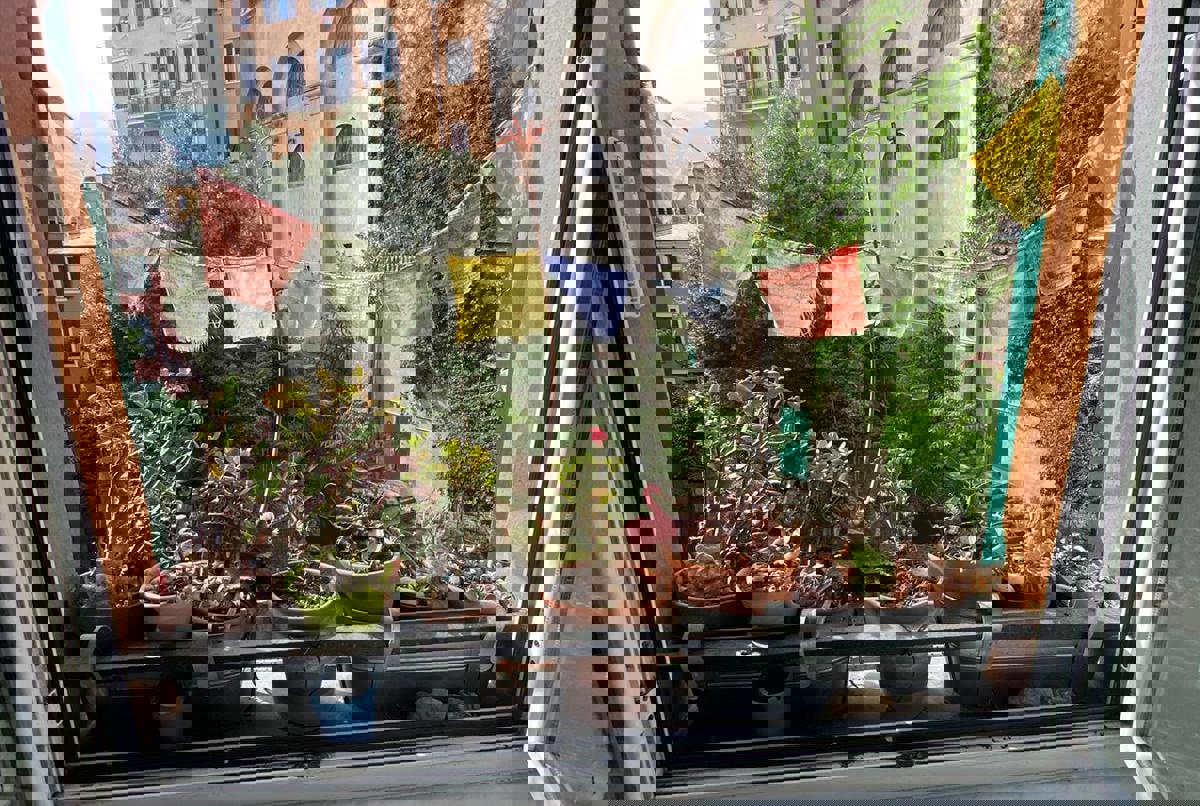 Super cozy apartment in down town Genoa