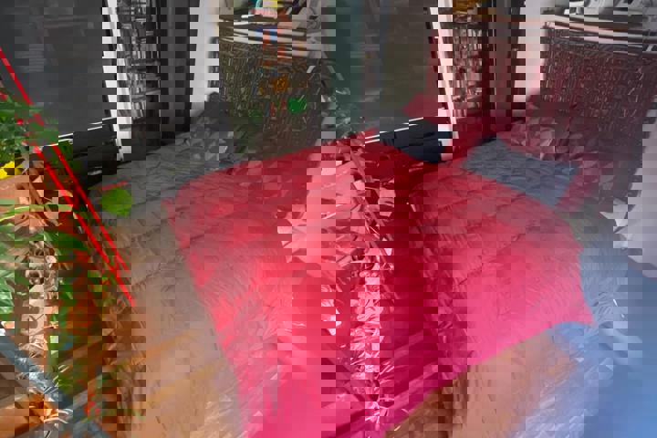 Super cozy apartment in down town Genoa - 11