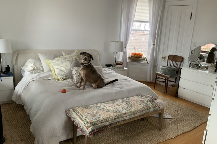 Chicago Walkup with deck and rooftop - 3