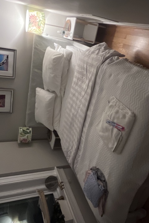 Chicago Walkup with deck and rooftop - 9