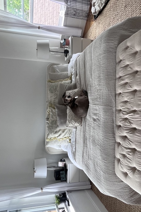 Chicago Walkup with deck and rooftop - 10