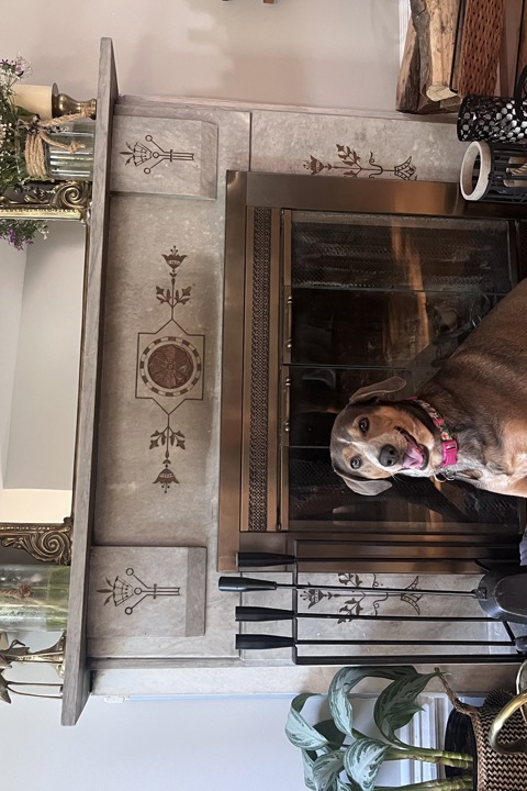 Chicago Walkup with deck and rooftop - 11