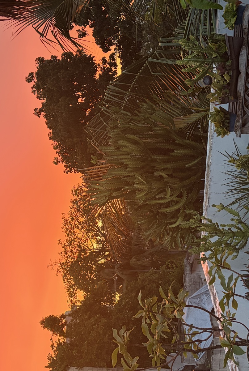 A Unique Rooftop Palapa with Beautiful Sunset View