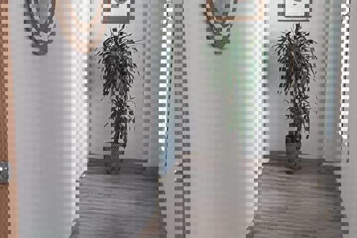 Cosy rooftop flat in Russafa, Valencia - 5