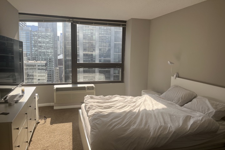 1bd in the best location in Chicago - 1
