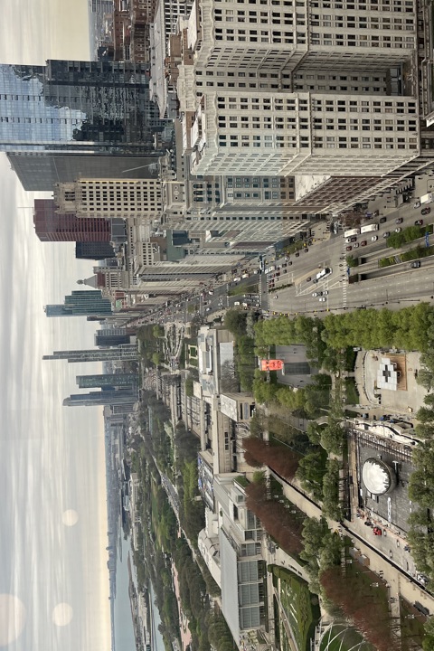 1bd in the best location in Chicago - 4