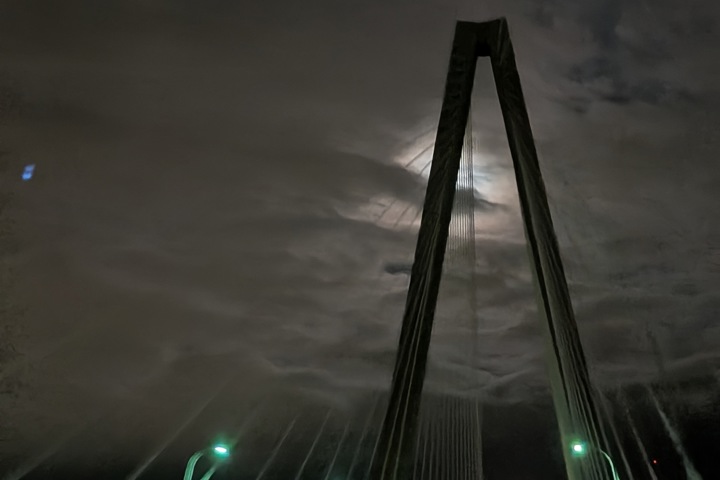 Betwixt the Southern Charm and Beaches - 19