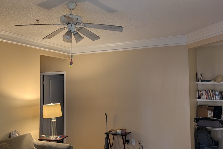 Betwixt the Southern Charm and Beaches - 1