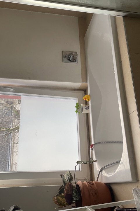 Cosy room in 3 bed apartment in Neukolln, Berlin - 1