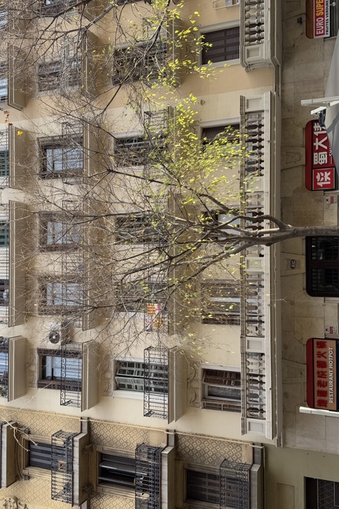 Traditional Eixample Flat - 8
